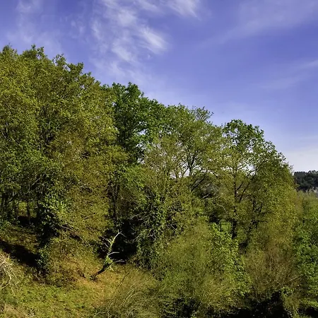 La Calma - Relax & Wellness (Adults Only) Landsted Ribadesella